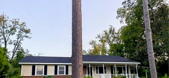 Home in Albany, Georgia, from Patty Moore’s completed-sale collection